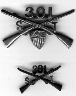 Insignia of the 301st Supply train
